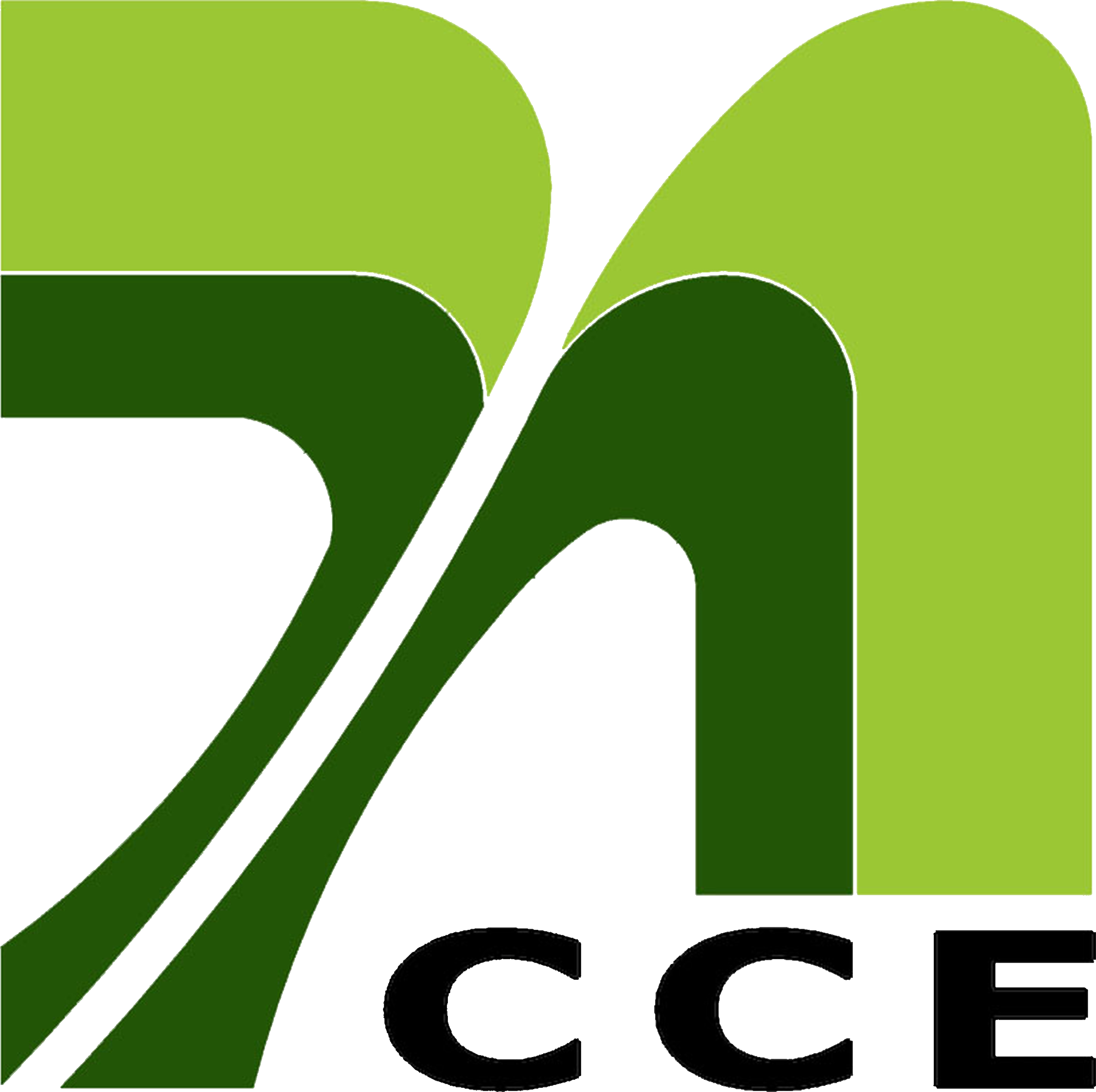 Logo Điện Thiên Ân